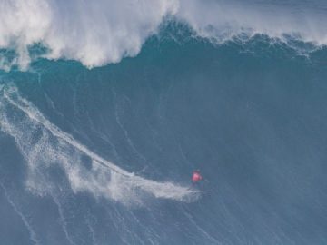 wsl-blog-noticia.jpeg
