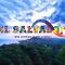 salvador600x500-1