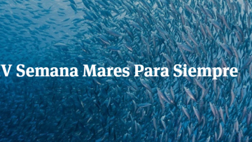 Captura-de-pantalla-2024-06-21-105247.png