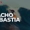 Flash Surfing de Surf Channel | Programa 21 | Temporada 5