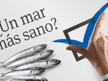 Cover-WEB_Fondo_con-Texto.jpg